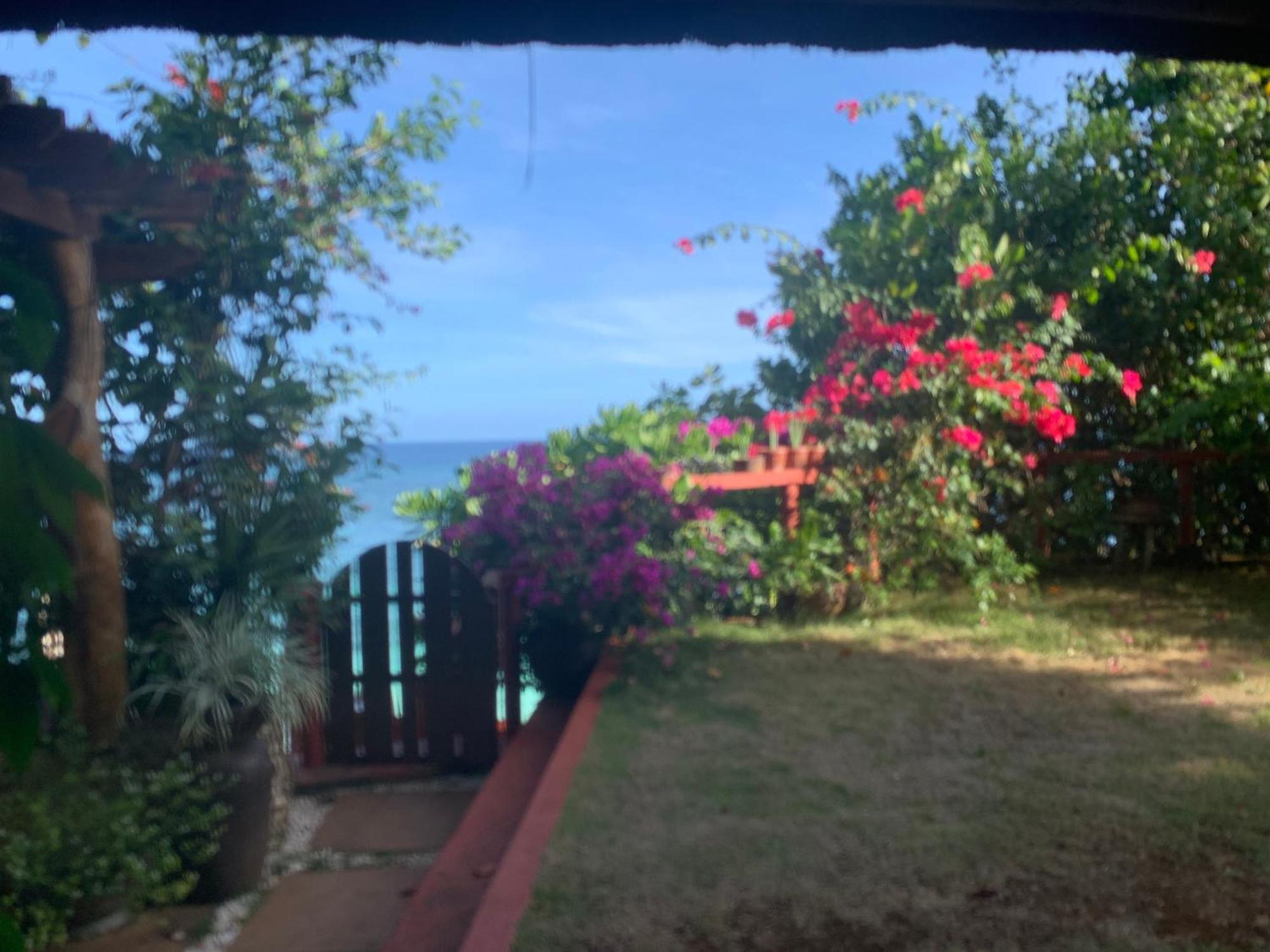 Blue Raven Resort Anda  Esterno foto