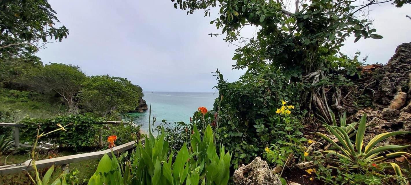 Blue Raven Resort Anda  Esterno foto