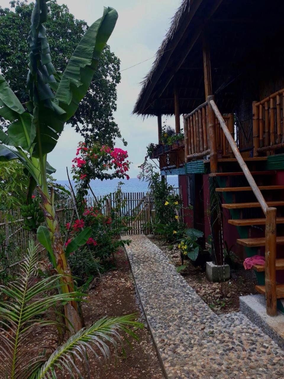 Blue Raven Resort Anda  Esterno foto